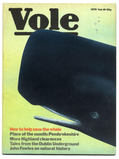 Vole Magazine No 10 June 15, 1978 Tales from the Dublin Underground Pembrokeshire